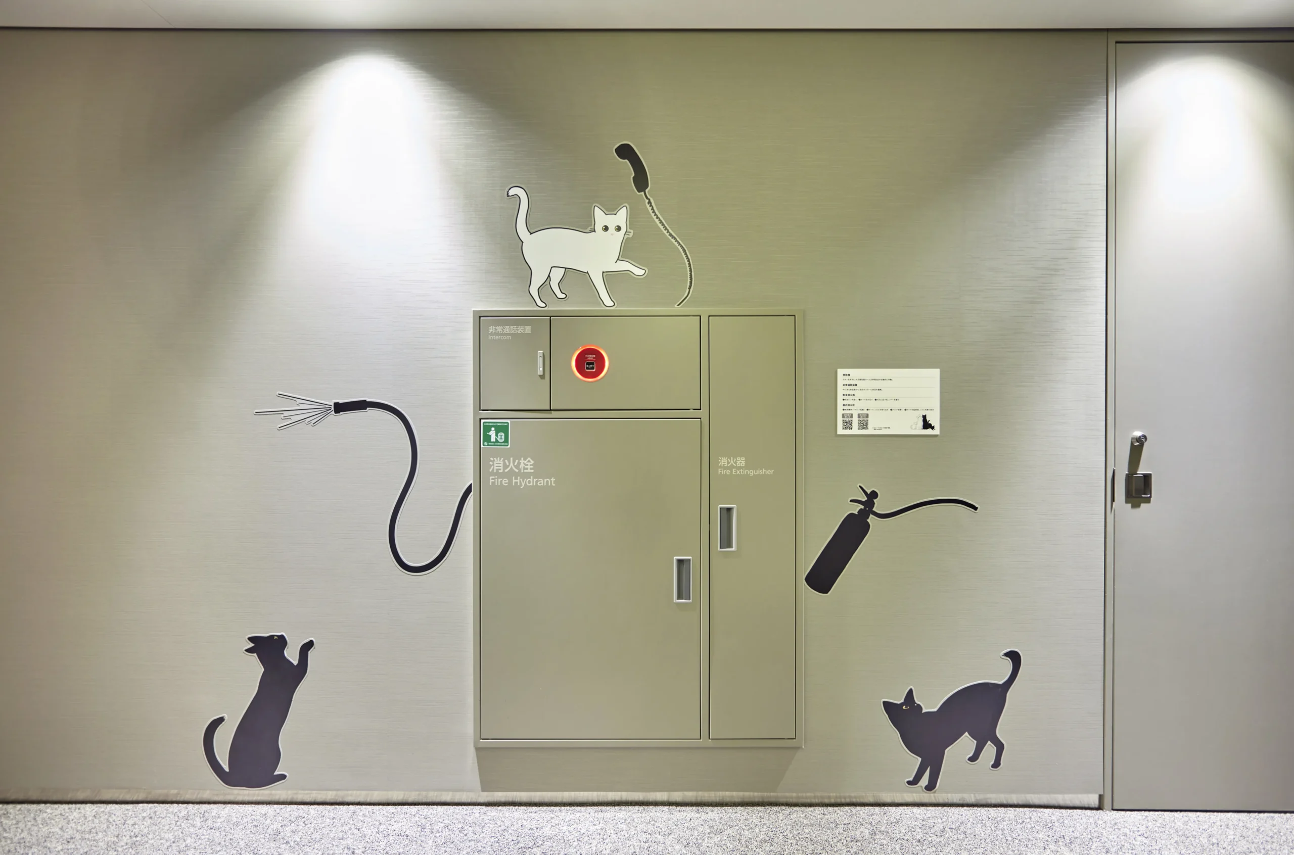 猫防
